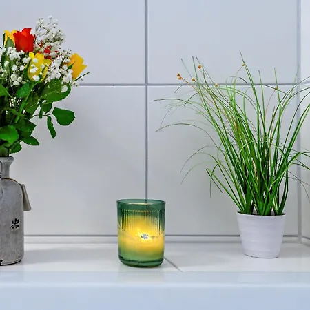 Feriehus Schleivilla Ahoi By Seeblick Ferien Oro 3 Sz Sauna Kamin Wasserlage *